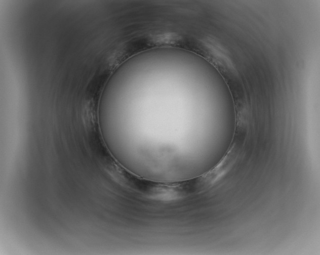 X0000112850179200908211308