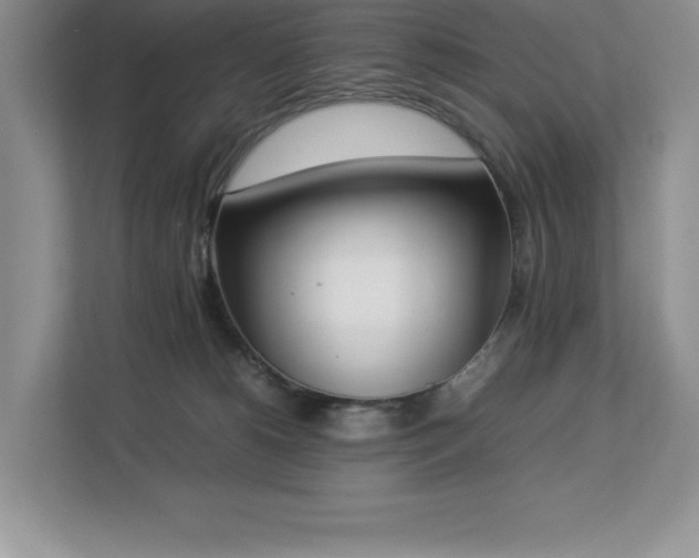 X0000112850180200908211308