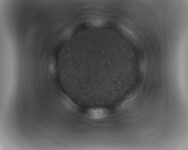 X0000112850181200908211308