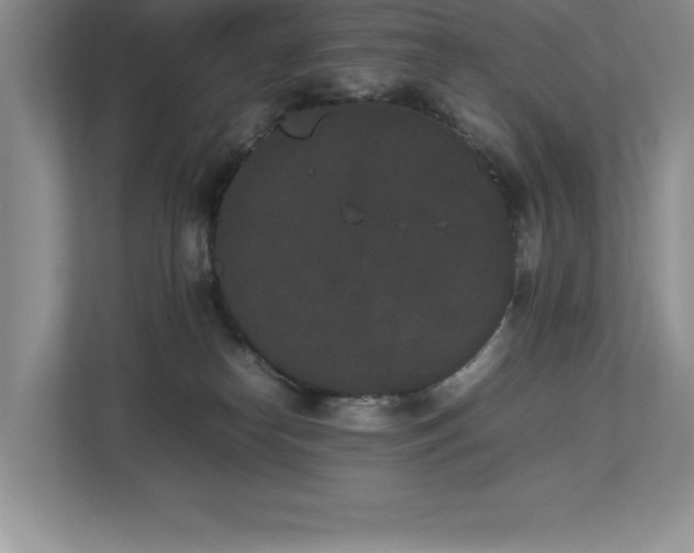X0000112850182200908211308