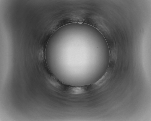 X0000112850183200908211308