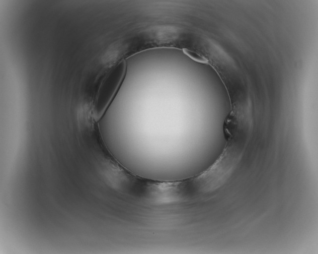 X0000112850184200908211308