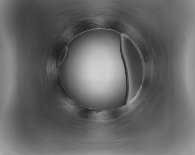 X0000112850186200908211308