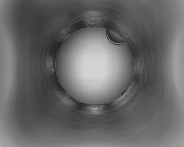 X0000112850187200908211308
