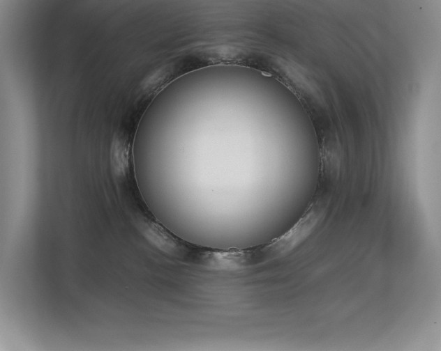 X0000112850188200908211308