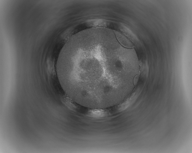 X0000112850189200908211308