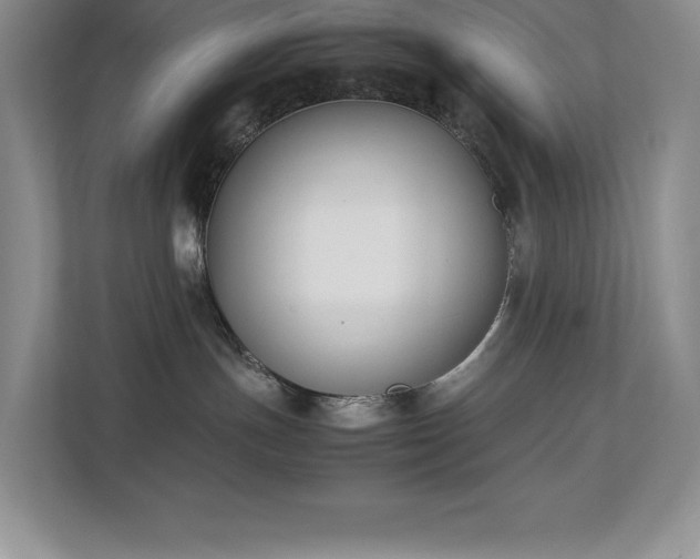 X0000112850191200908211308