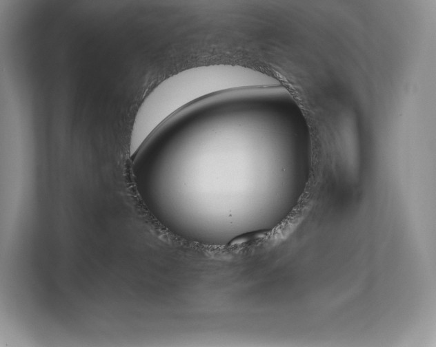 X0000112850192200908211308