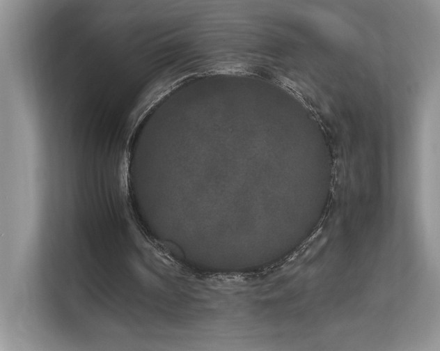 X0000112850194200908211307