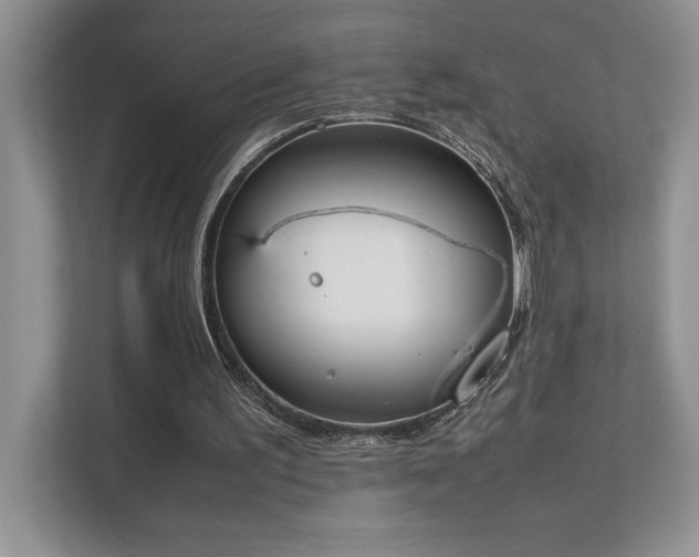 X0000112850195200908211307