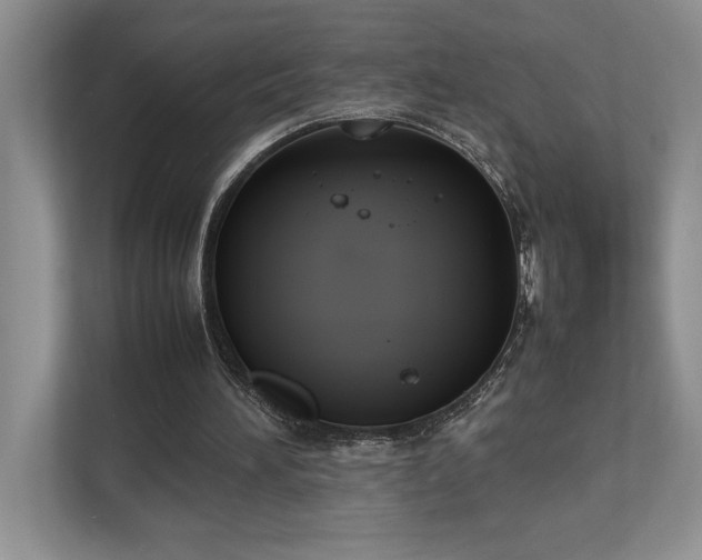 X0000112850196200908211307