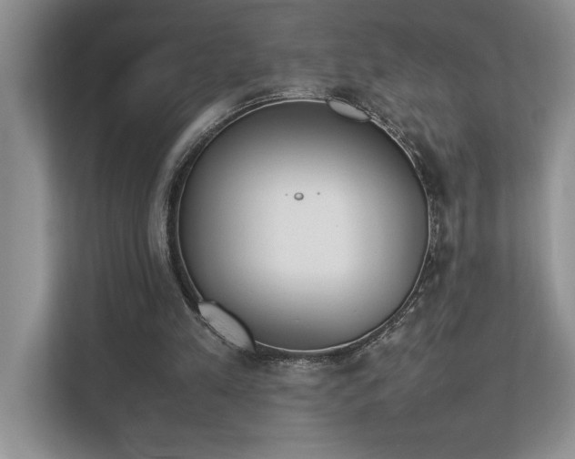 X0000112850197200908211307