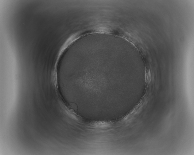 X0000112850198200908211307