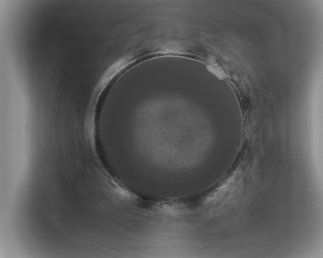 X0000112850199200908211307
