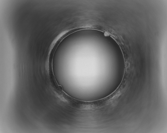X0000112850200200908211307