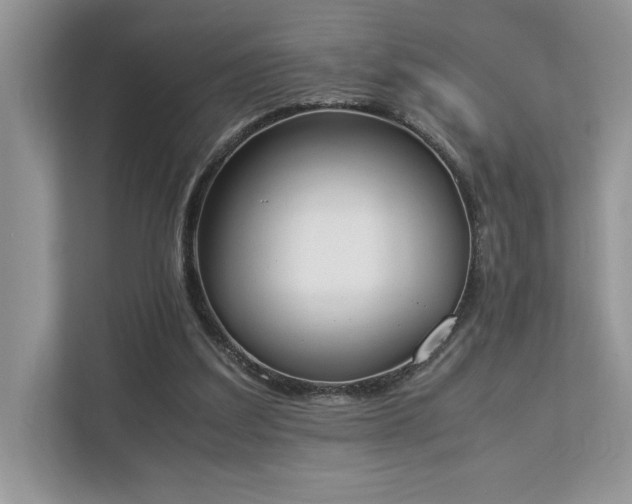 X0000112850203200908211307