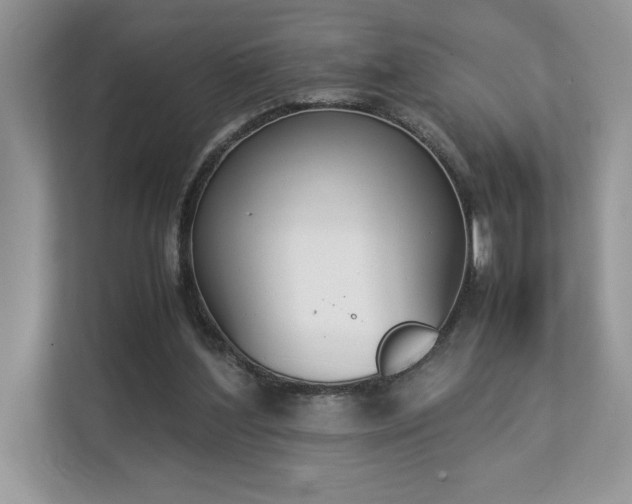 X0000112850204200908211307