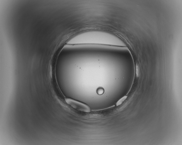 X0000112850205200908211307