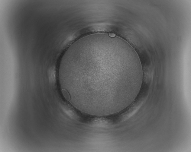 X0000112850207200908211307