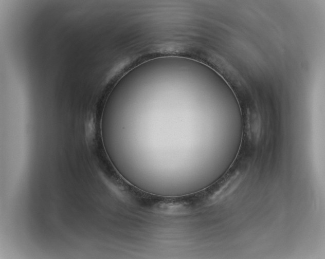 X0000112850208200908211307