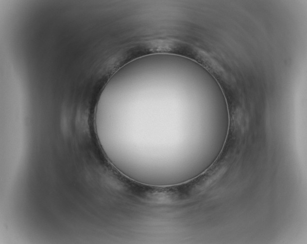 X0000112850209200908211307