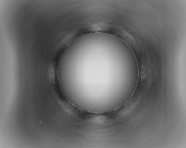 X0000112850210200908211307