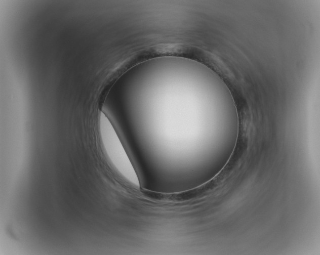 X0000112850211200908211307