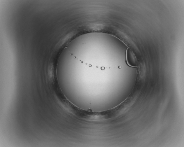 X0000112850212200908211307