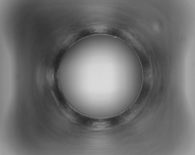 X0000112850213200908211307