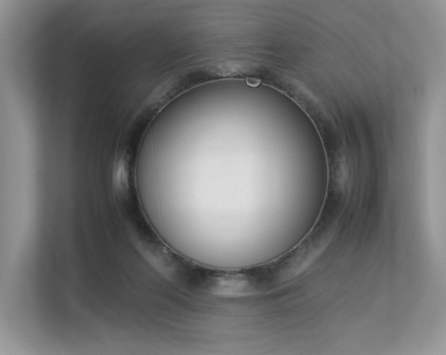 X0000112850214200908211307