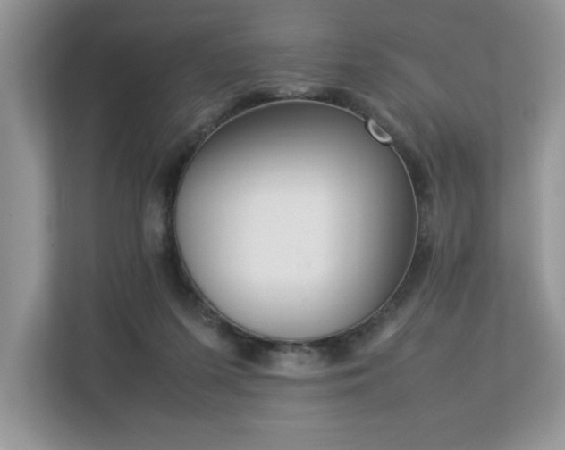 X0000112850215200908211307