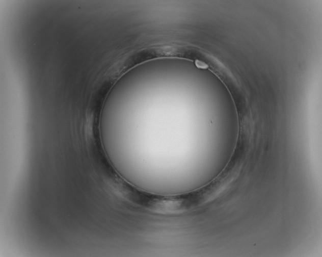 X0000112850217200908211307
