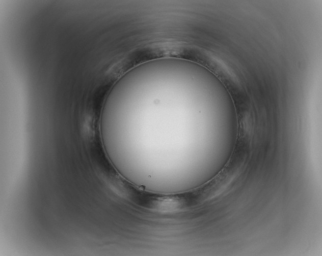 X0000112850218200908211307