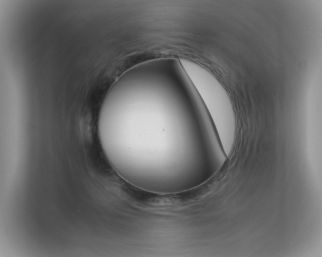 X0000112850223200908211307