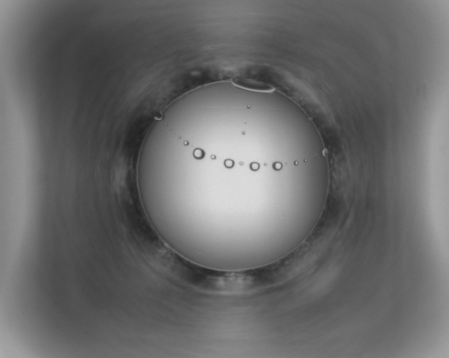 X0000112850225200908211307