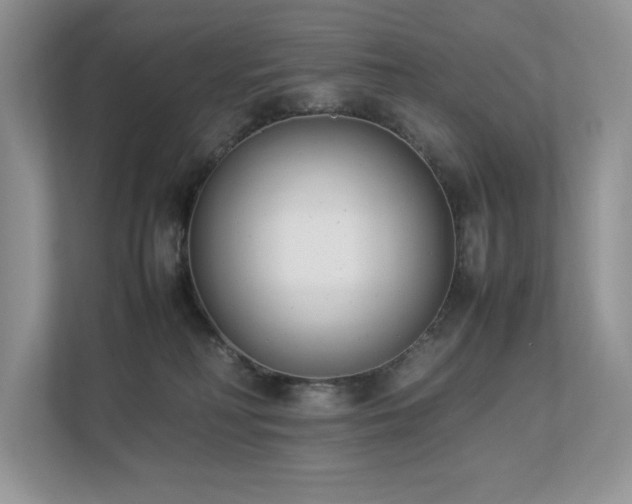 X0000112850230200908211307