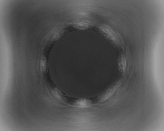X0000112850231200908211307