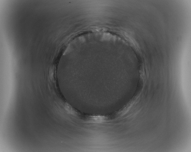 X0000112850233200908211307