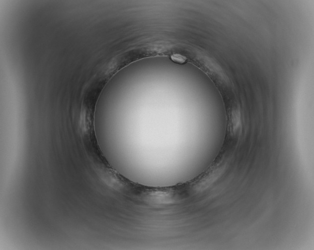 X0000112850236200908211307