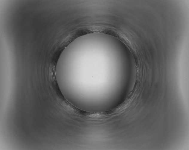 X0000112850237200908211307