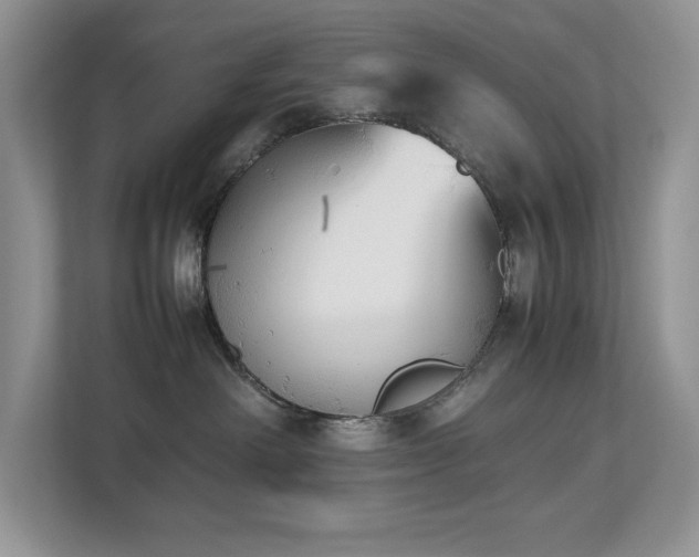 X0000112850238200908211307