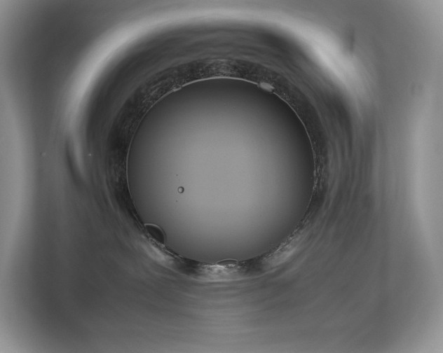 X0000112850239200908211307