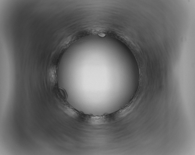X0000112850240200908211307