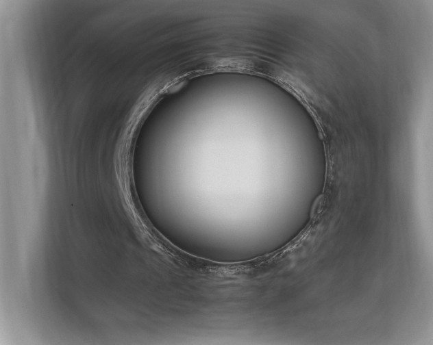X0000112850241200908211306