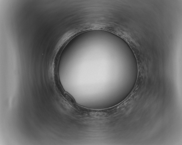 X0000112850242200908211306