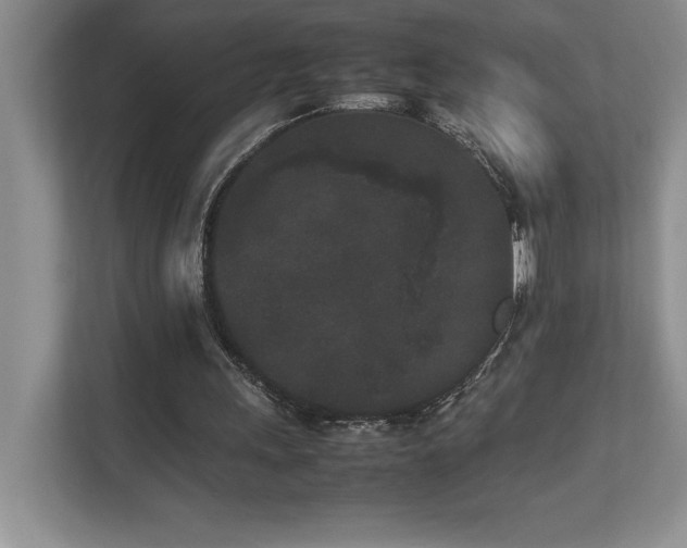 X0000112850243200908211306