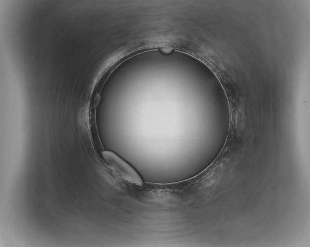 X0000112850244200908211306