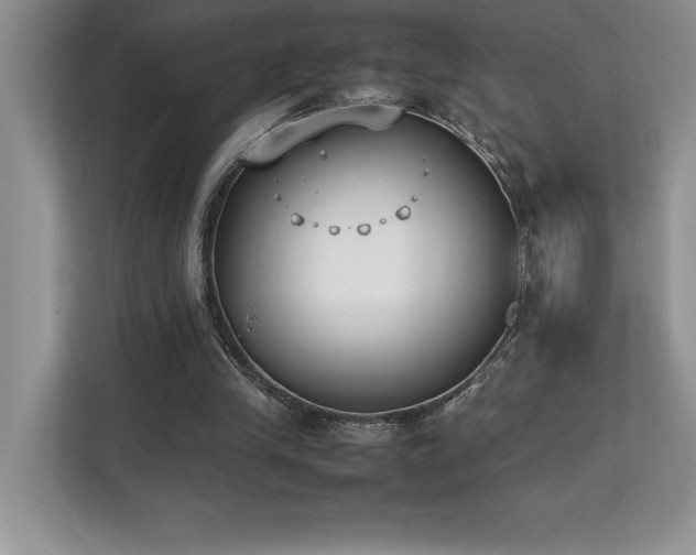 X0000112850245200908211306