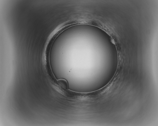 X0000112850246200908211306