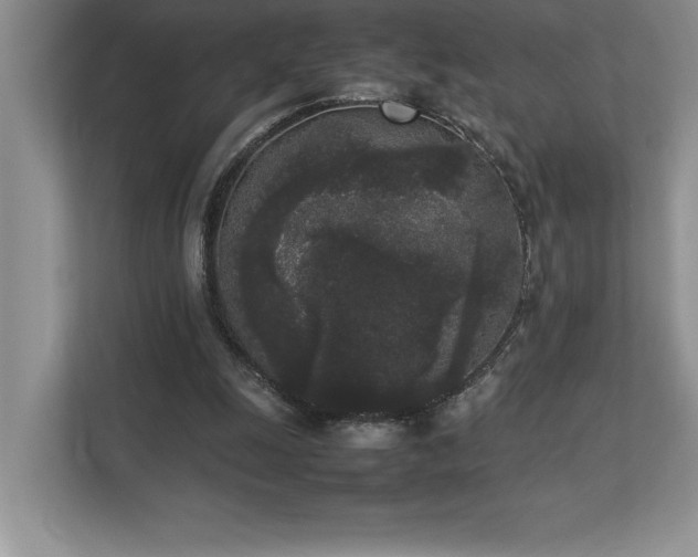 X0000112850247200908211306
